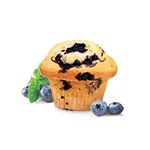 Blueberry Muffin
