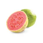 Guava