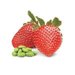 RASPBERRY SORBET